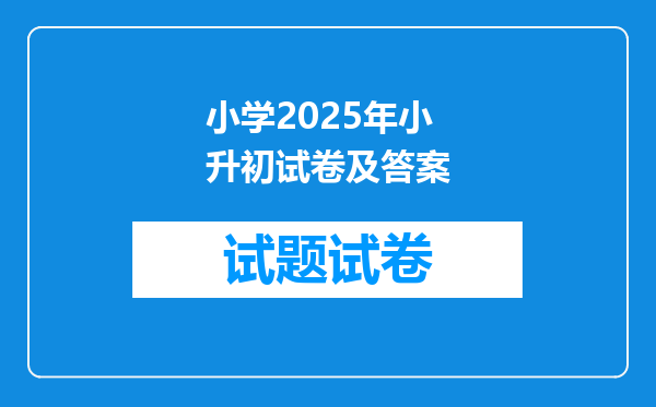 小学2025年小升初试卷及答案