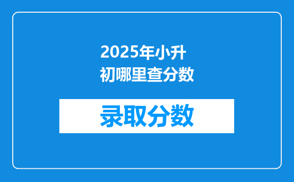 2025年小升初哪里查分数