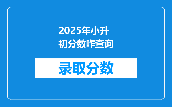 2025年小升初分数咋查询