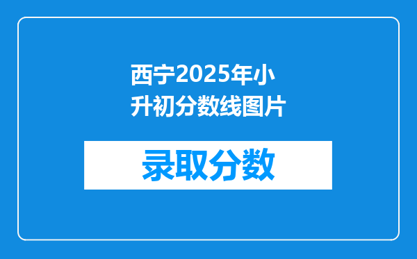 西宁2025年小升初分数线图片