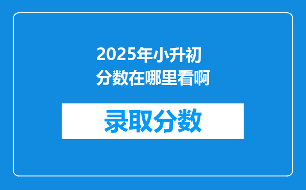 2025年小升初分数在哪里看啊