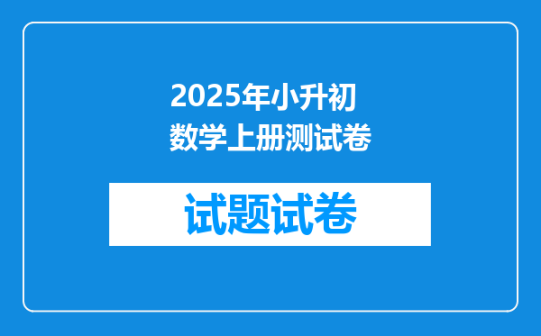 2025年小升初数学上册测试卷