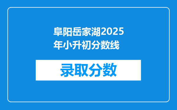 阜阳岳家湖2025年小升初分数线