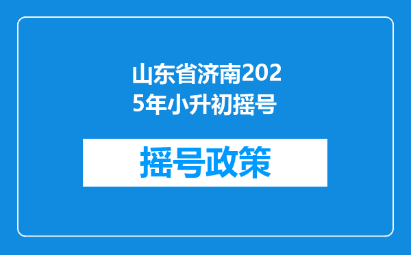 山东省济南2025年小升初摇号