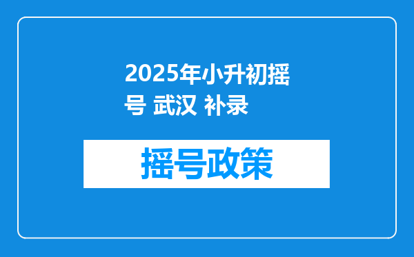 2025年小升初摇号 武汉 补录