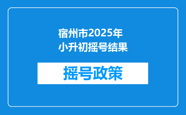 宿州市2025年小升初摇号结果