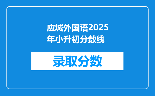 应城外国语2025年小升初分数线