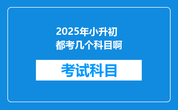 2025年小升初都考几个科目啊