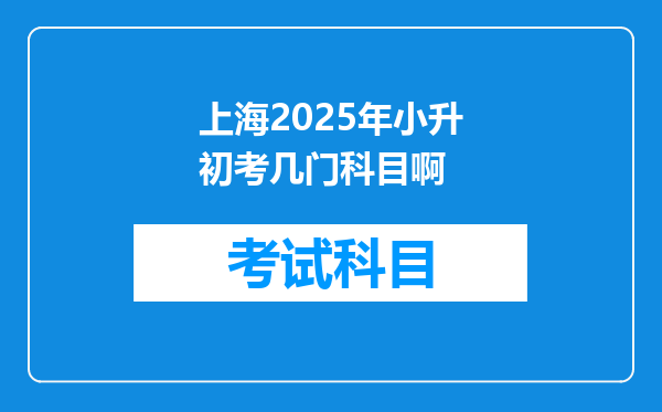 上海2025年小升初考几门科目啊