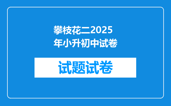 攀枝花二2025年小升初中试卷