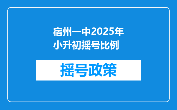 宿州一中2025年小升初摇号比例