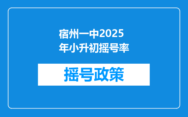 宿州一中2025年小升初摇号率