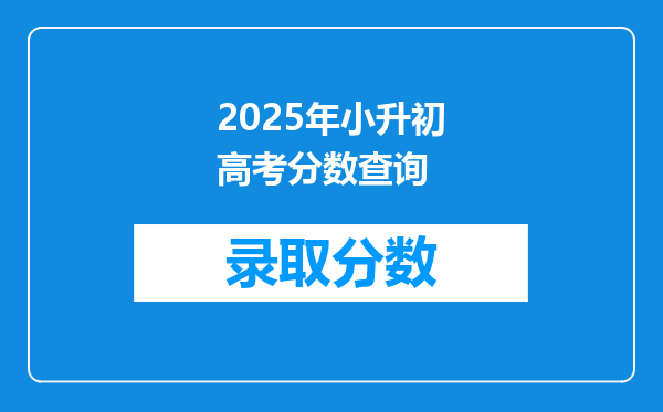 2025年小升初高考分数查询