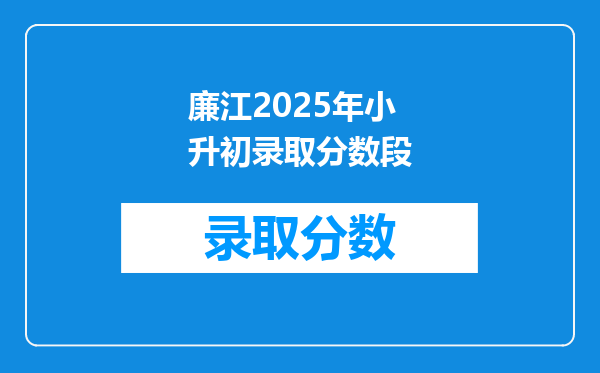 廉江2025年小升初录取分数段