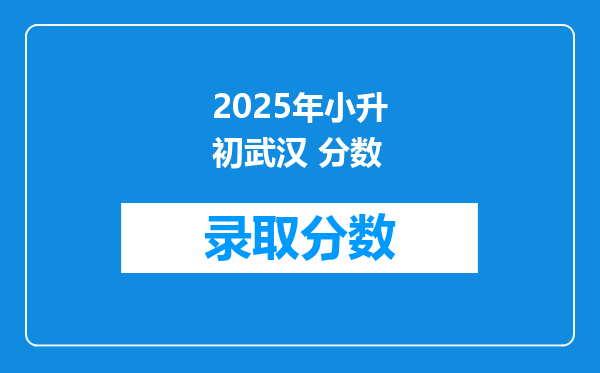 2025年小升初武汉 分数