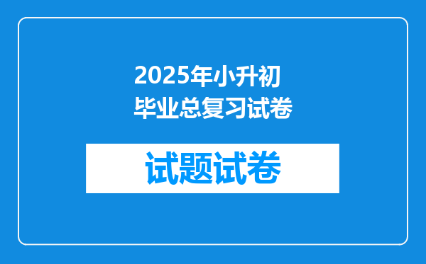 2025年小升初毕业总复习试卷