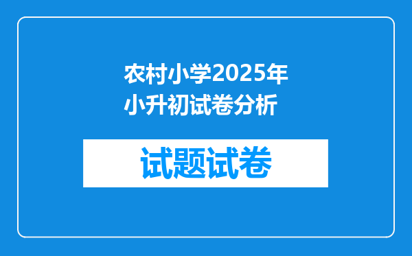 农村小学2025年小升初试卷分析