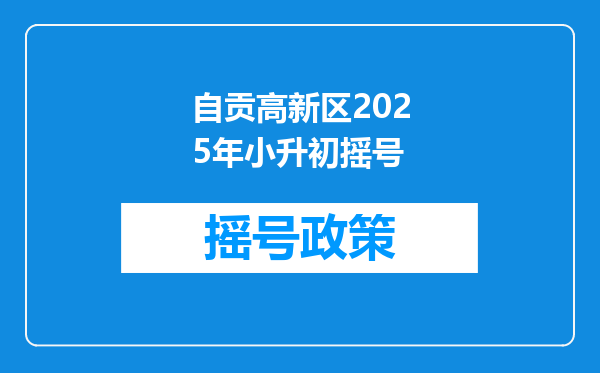 自贡高新区2025年小升初摇号