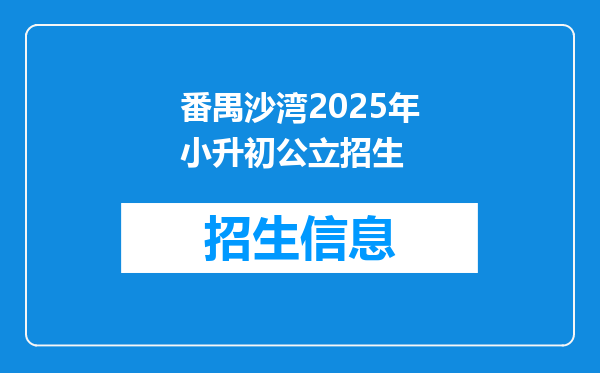 番禺沙湾2025年小升初公立招生