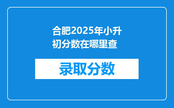 合肥2025年小升初分数在哪里查