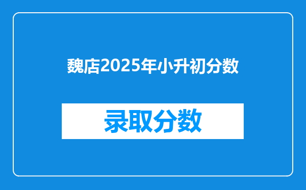 魏店2025年小升初分数