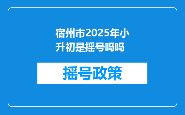 宿州市2025年小升初是摇号吗吗