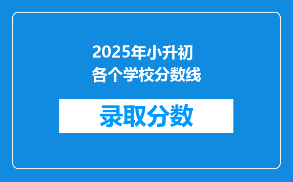 2025年小升初各个学校分数线