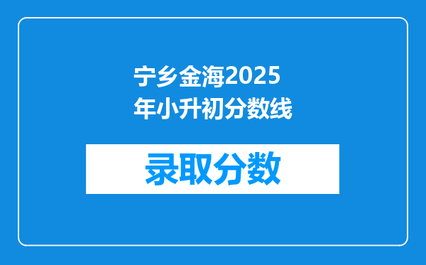 宁乡金海2025年小升初分数线