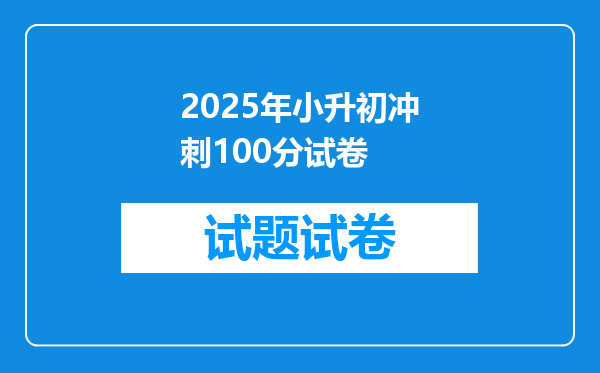 2025年小升初冲刺100分试卷