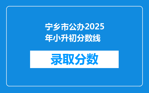 宁乡市公办2025年小升初分数线