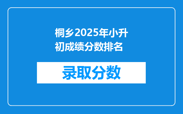 桐乡2025年小升初成绩分数排名