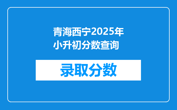 青海西宁2025年小升初分数查询