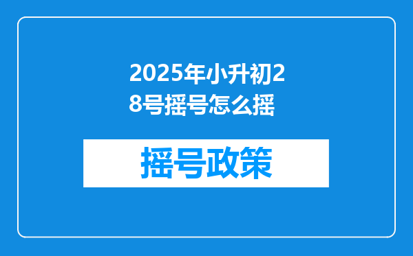 2025年小升初28号摇号怎么摇