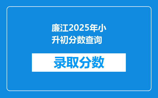 廉江2025年小升初分数查询