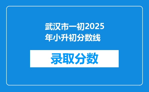 武汉市一初2025年小升初分数线