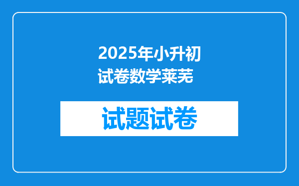 2025年小升初试卷数学莱芜