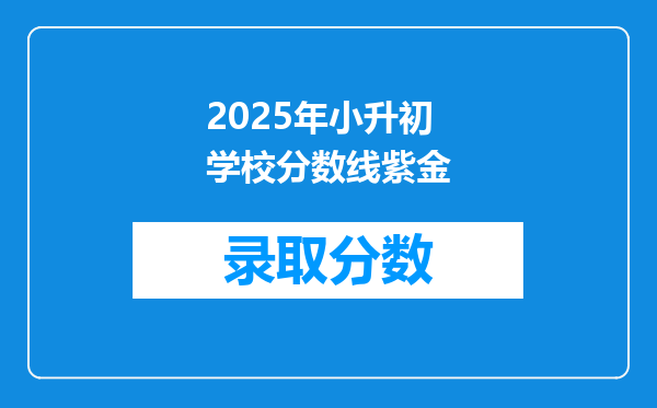 2025年小升初学校分数线紫金