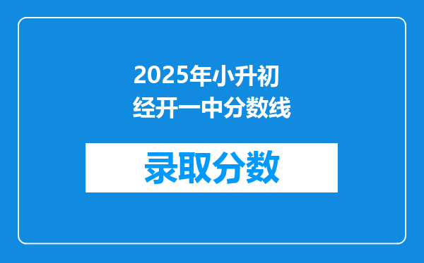 2025年小升初经开一中分数线