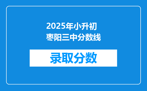 2025年小升初枣阳三中分数线