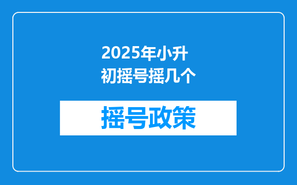 2025年小升初摇号摇几个