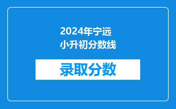 2024年宁远小升初分数线