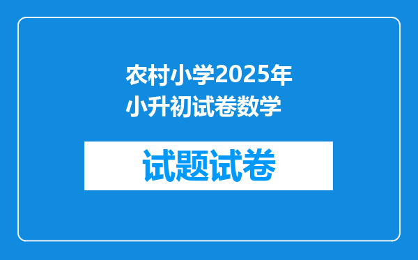 农村小学2025年小升初试卷数学