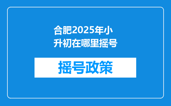 合肥2025年小升初在哪里摇号