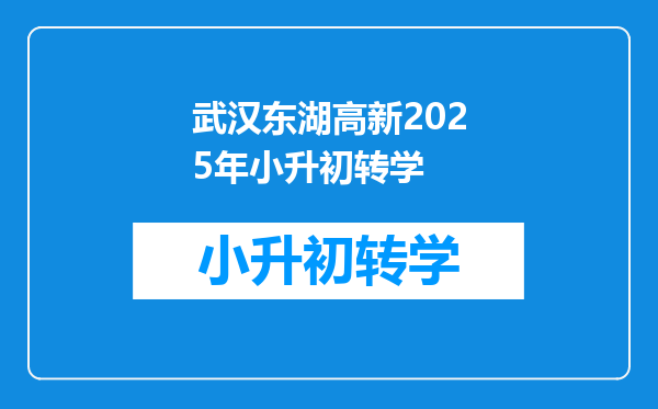 武汉东湖高新2025年小升初转学