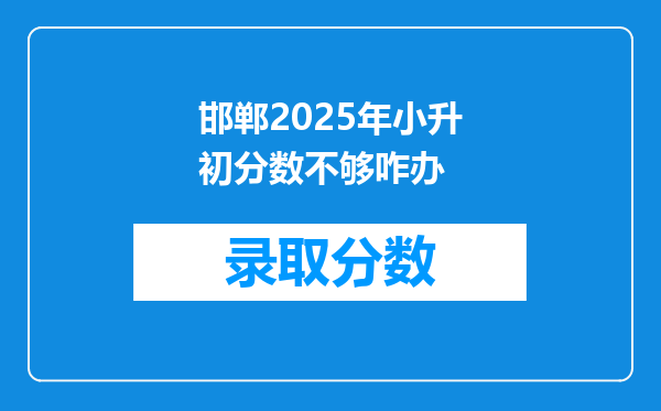 邯郸2025年小升初分数不够咋办