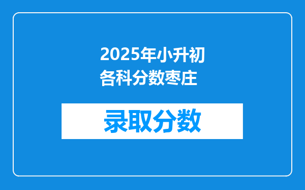 2025年小升初各科分数枣庄