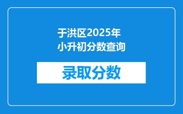 于洪区2025年小升初分数查询