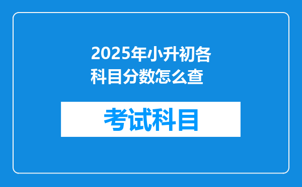 2025年小升初各科目分数怎么查