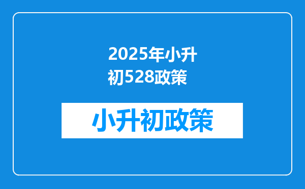 2025年小升初528政策