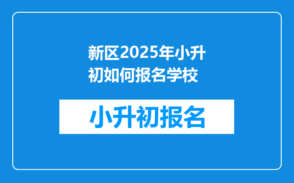 新区2025年小升初如何报名学校